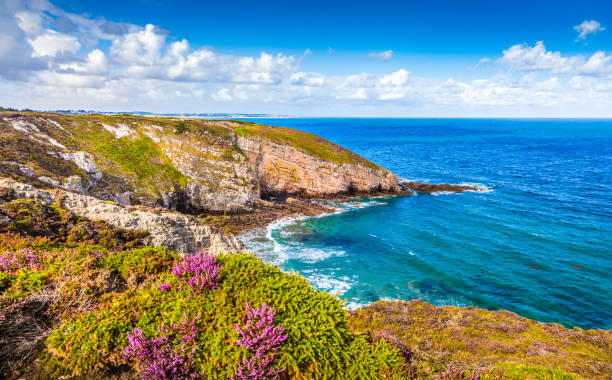 istock Cap Frehel peninsula, Brittany, France 672459436