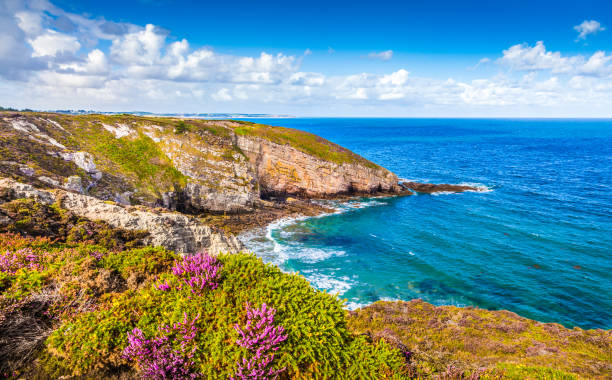 Cap Frehel peninsula, Brittany, France Panoramic view of beautiful coastal scenery at famous Cap Frehel peninsula on the Cote d'Emeraude, commune of Plevenon, Cotes-d'Armor, Bretagne, northern France frehal photos stock pictures, royalty-free photos & images
