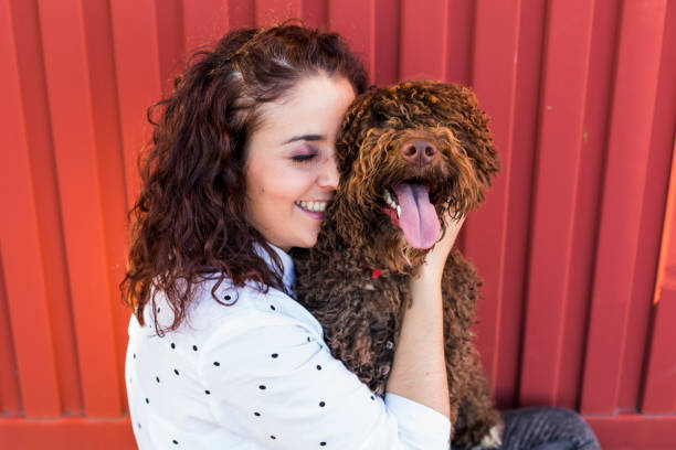 Beautiful young woman hugging her dog, a brown Spanish water dog over red background. She is smiling and loving the dog Beautiful young woman hugging her dog, a brown Spanish water dog over red background. She is smiling and loving the dog. Love for animals concept bong photos stock pictures, royalty-free photos & images