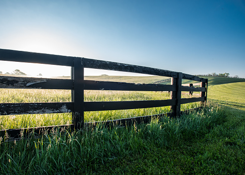 Low Angle of Horse Farm Fence in grassy hills of Kentucky