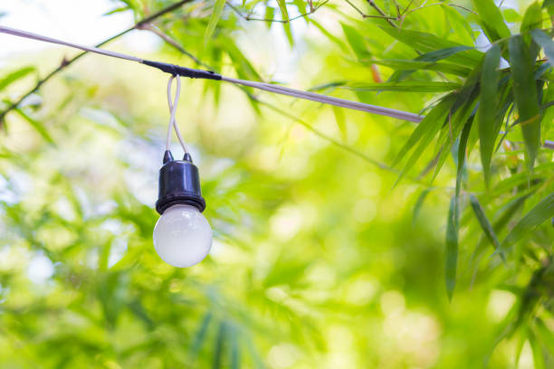 istock lamp in garden,green bokeh 672470296