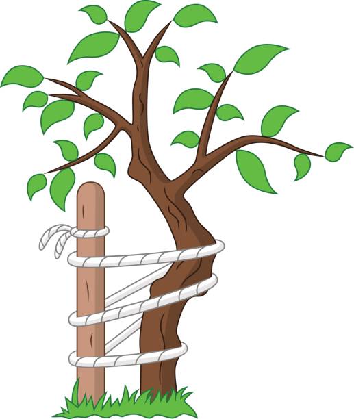 Tree Of Andry Stock Illustration - Download Image Now - Tree, Beauty, Cut Out - iStock Tree Of Andry Stock Illustration - Download Image Now - Tree, Beauty, Cut Out - iStock