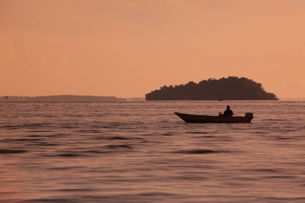 asia brunei darussalam - island of borneo stock-fotos und bilder