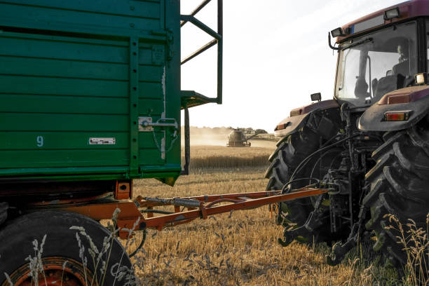istock Tractor with trailer in the field 672474312