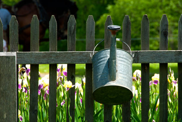 A watering can hanging on fence with iris behind the fence