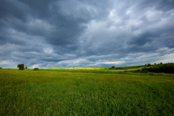 Storm Over the Fields Stormy sky. rain overcast storm weather stock pictures, royalty-free photos & images