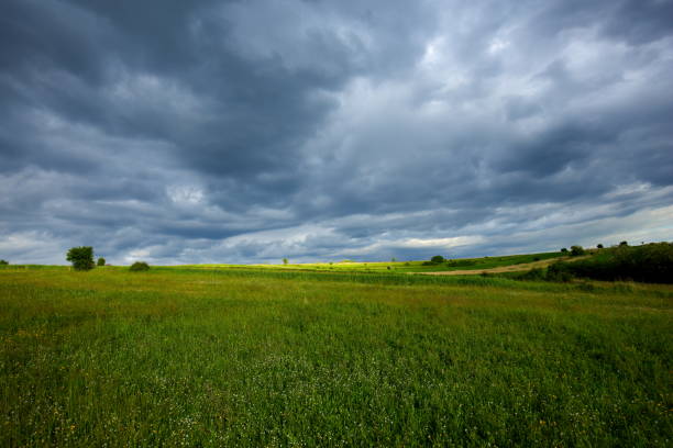 storm over the fields - storm cloud storm dramatic sky hurricane imagens e fotografias de stock