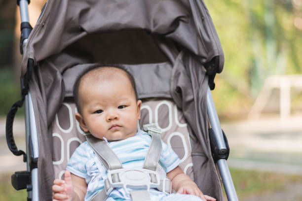 istock portrait of baby sit on stroller carriage 672481824