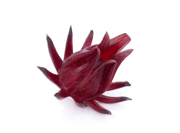 Photo of Hibiscus sabdariffa or roselle fruits on white background