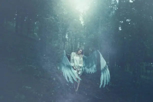 surreal photo of fallen angel with her white wings in the forest in mystery wild background.