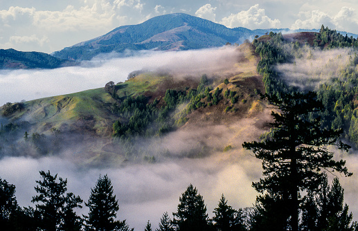Patchy coastal fog in the morning in the rugged hills of the Northern California coast range. The Pacific Ocean is just beyond the distant mountain. Southern Humboldt County, California.