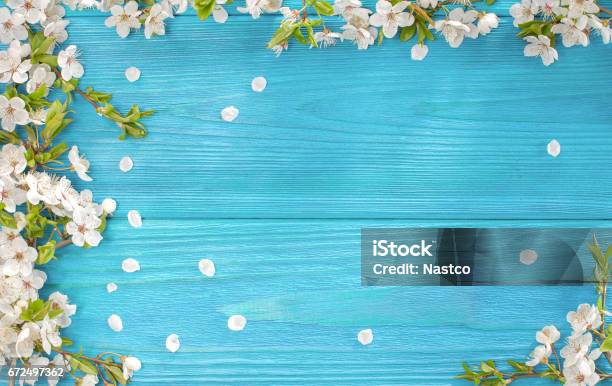 Spring Background Stock Photo - Download Image Now - Backgrounds, Blossom, Blue