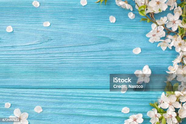 Spring Background Stock Photo - Download Image Now - Backgrounds, May, Springtime