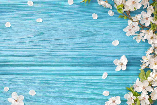 spring background - may imagens e fotografias de stock