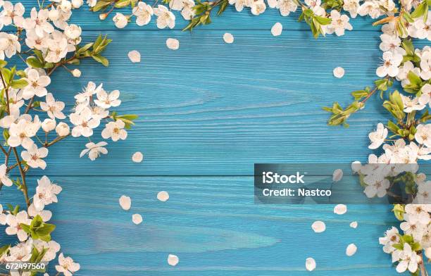 Spring Background Stock Photo - Download Image Now - April, Backgrounds, Springtime