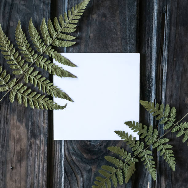 istock Tree Fern Leaves on black wood background. Flat lay. 672502202