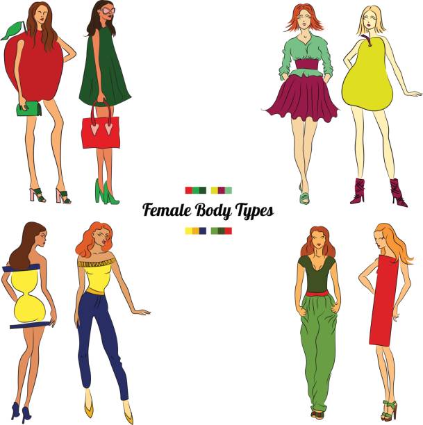 Female Body Types and Body Shapes Female Body Types and Body Shapes. Vector illustration, eps 10. Layers separated. perfect pear stock illustrations