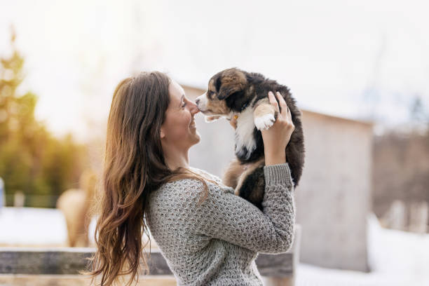 donna con cuccioli - dog group of animals clothing animal foto e immagini stock