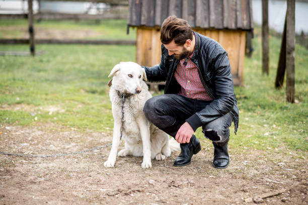 istock Man with dog at the countryside 672518358