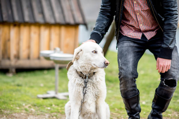 istock Man with dog at the countryside 672518468