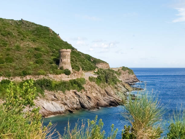 istock coastal landscape and forest of Cap Corse 672521810