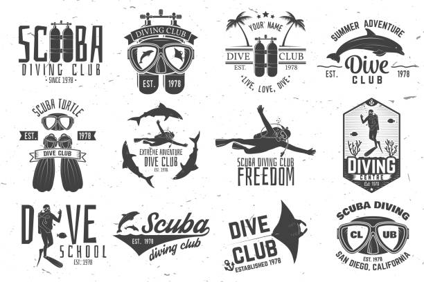 illustrazioni stock, clip art, cartoni animati e icone di tendenza di set di diving club subacqueo e design della scuola di immersioni - label travel san diego california california