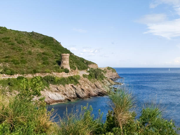 istock coastal landscape and forest of Cap Corse 672527276