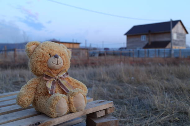 istock Teddy bear looks at sunset 672527856
