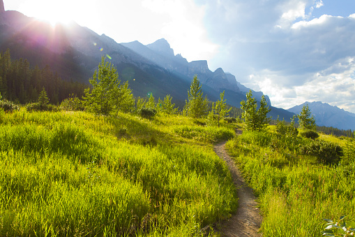 A singletrack trail at the Canmore Nordic Centre in the Rocky Mountains of Alberta, Canada.