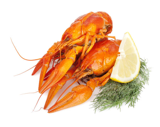 istock Boiled crayfishes with lemon slice and dill 672542124