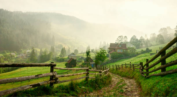 strada di campagna all'alba, vorokhta, carpazi, ucraina. immagine tonica - fence hill mountain range mountain foto e immagini stock