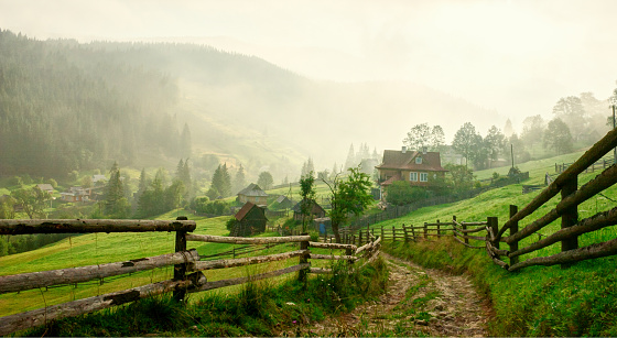 Country Road  at dawn,  Vorokhta,   Carpathian Mountains, Ukraine. Toned image