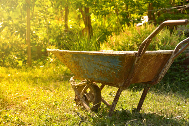 istock The old rusty cement cart, Cart mortar on nature background. 672551214
