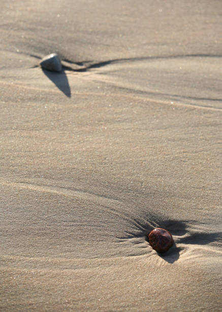 istock Wet stones in sand on seacoast 672551680