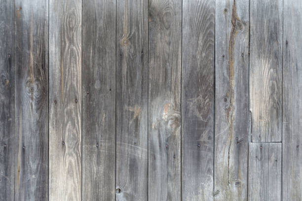 istock Gray unpainted wooden door 672551930