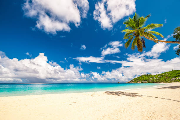 istock Beautiful Anse Intendance beach at Seychelles 672555270