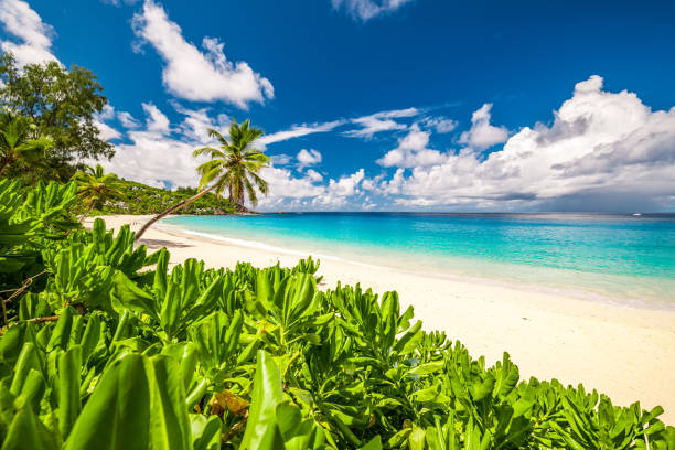 istock Beautiful Anse Intendance beach at Seychelles 672555276