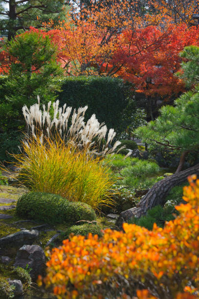 Kyoto, Japan, November