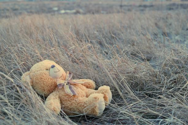 istock A lone toy bear on the grass. Toned image 672559146