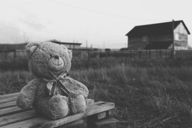 Teddy bear in countryside. Black and white toned image