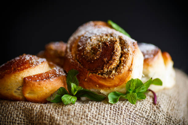 istock Sweet bun with nut filling in powdered sugar 672559756