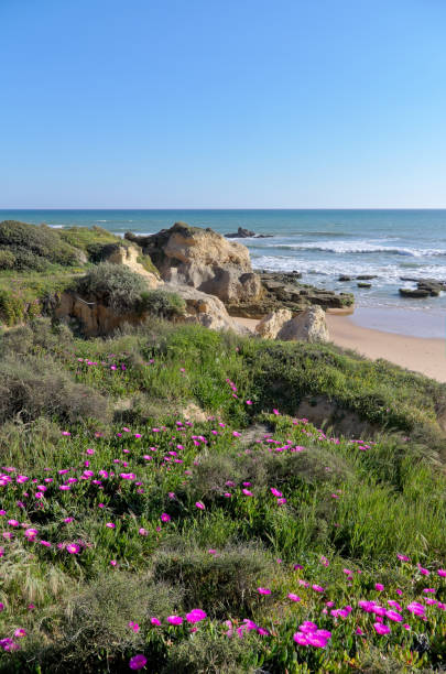 istock Gale Beach scenery in Albufeira, Portugal 672562694