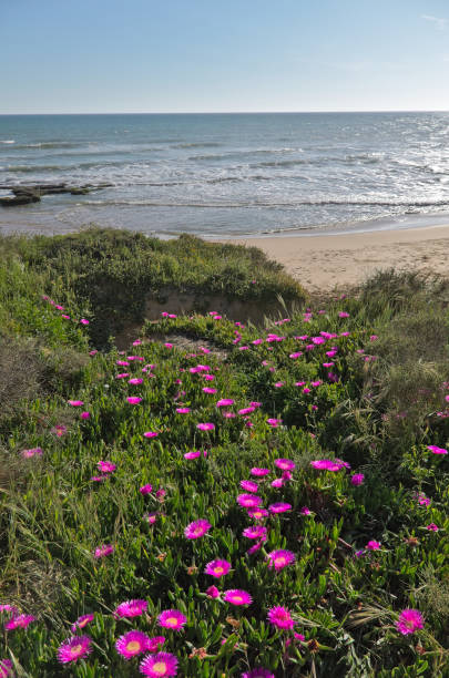 istock Gale Beach scenery in Albufeira, Portugal 672562724