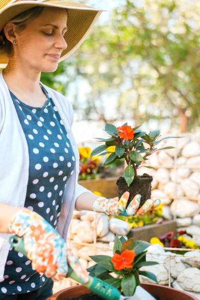 istock Woman planting flowers 672565754
