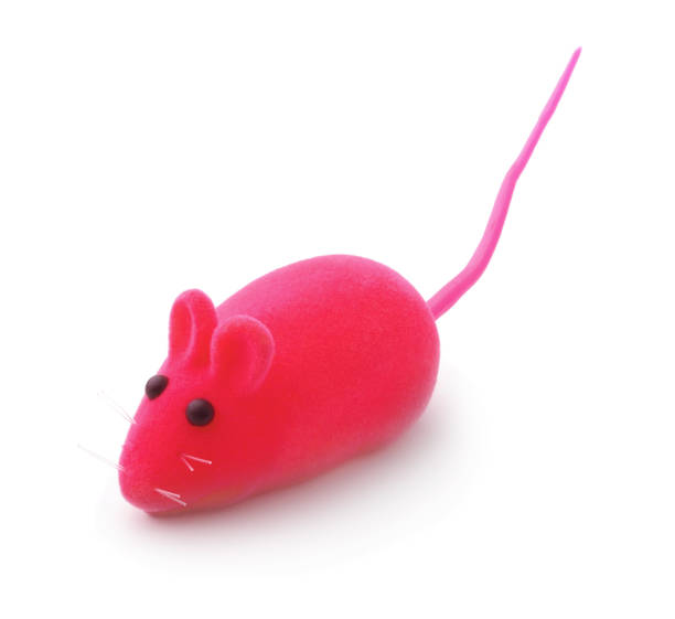 istock Red pet toy mouse isolated on white 672566774