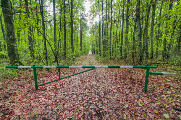 The bridge with barriers for motor traffic in autumn nature