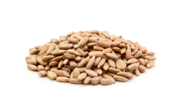 istock Sunflower seeds isolated on white 672589526
