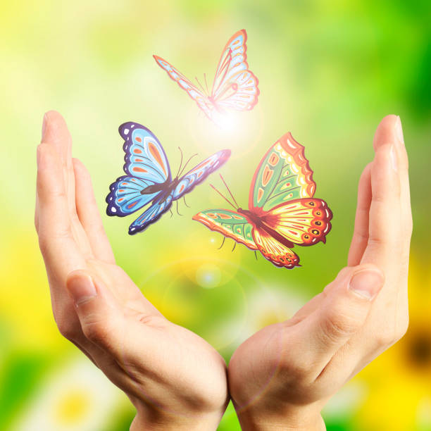 istock floral background with butterfly and flowers 672589530