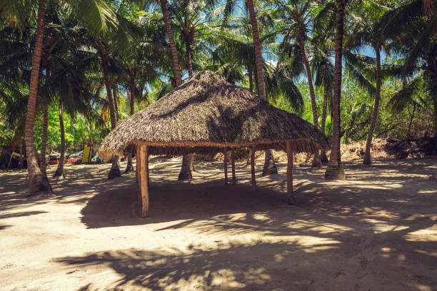 istock Sandy beach and tropical palm trees. Saona Island, Punta Cana 672590790