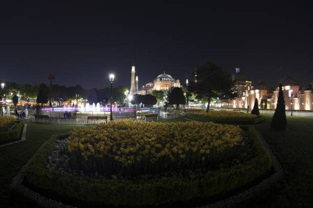 istock Tulip carpet with geometric patterns at Sultanahmet square in Istanbul, with people. 672603380